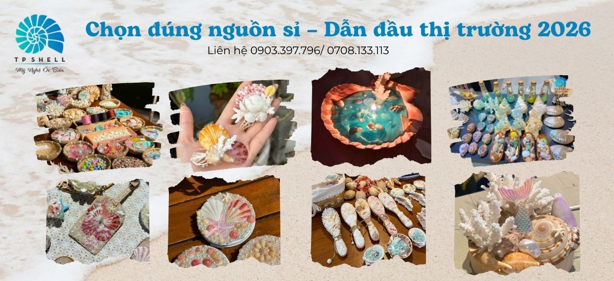 giai-phap-ban-si-vo-oc-bien-2026